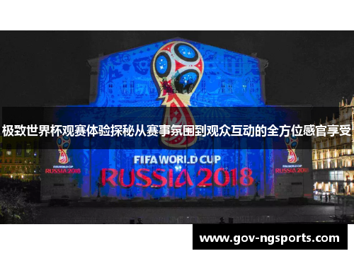 极致世界杯观赛体验探秘从赛事氛围到观众互动的全方位感官享受