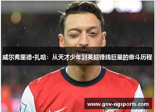 威尔弗里德·扎哈：从天才少年到英超锋线巨星的奋斗历程