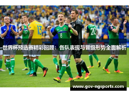 世界杯预选赛精彩回顾：各队表现与晋级形势全面解析