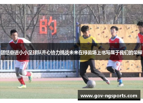 团结奋进小小足球队齐心协力挑战未来在绿茵场上书写属于我们的荣耀
