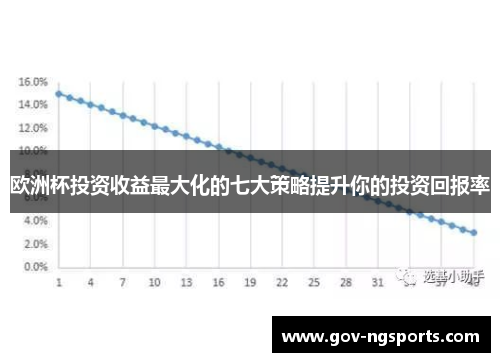 欧洲杯投资收益最大化的七大策略提升你的投资回报率
